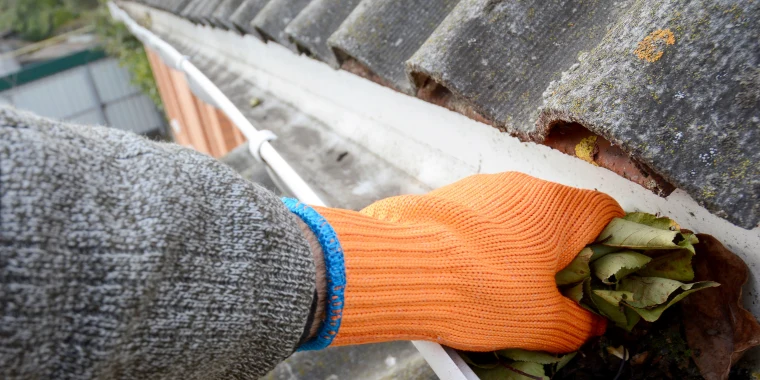 Expert Insights: Why Regular Gutter Cleaning Is Vital For Homeowners