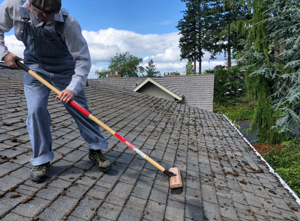 Transform Your Home with Expert Roof Cleaning Services