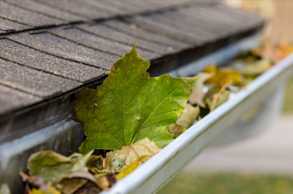 Expert Gutter Cleaning Services: Protect Your Property Today!