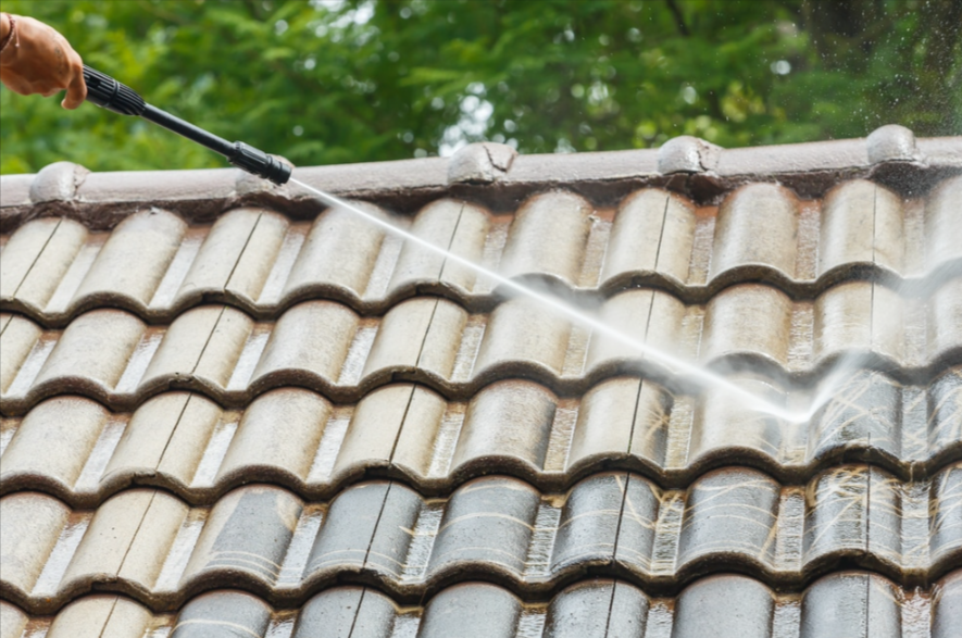 Professional Roof Cleaning Services For A Spotless & Functional Roof