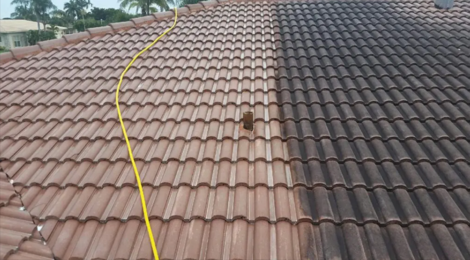 Top 10 Must-Know Tips For Effective Roof Cleaning