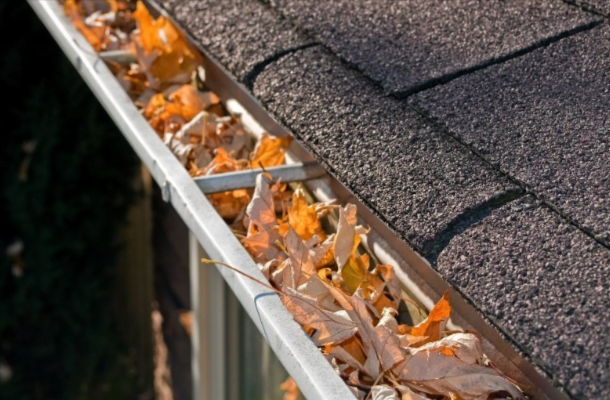 Streamlined Solutions: The Ultimate Guide To Gutter Cleaning