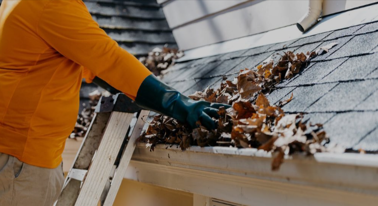 Efficient Gutter Cleaning Services For A Cleaner, Safer Home