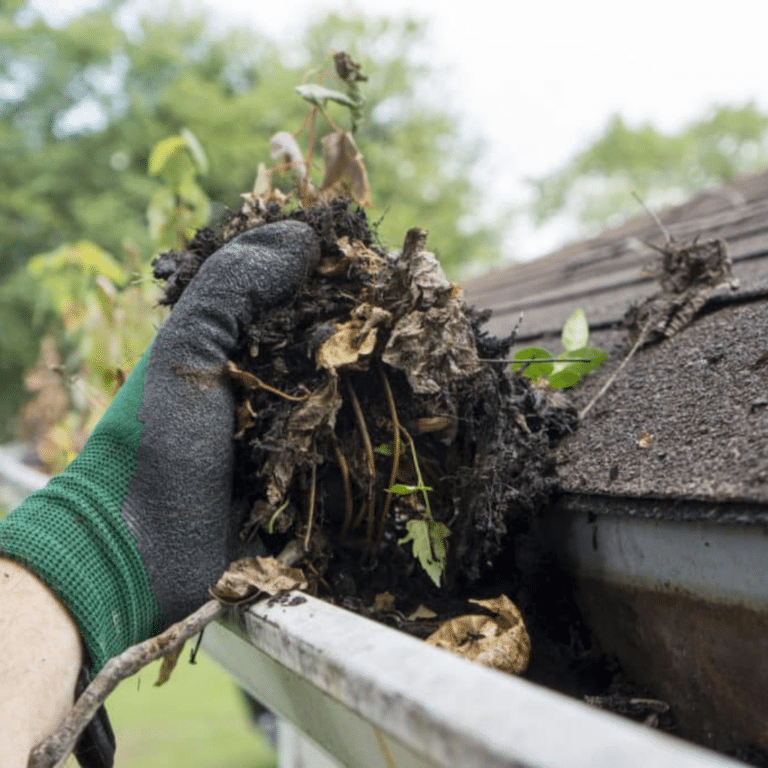 Gutter Cleaning Company in Cincinnati, OH (2)